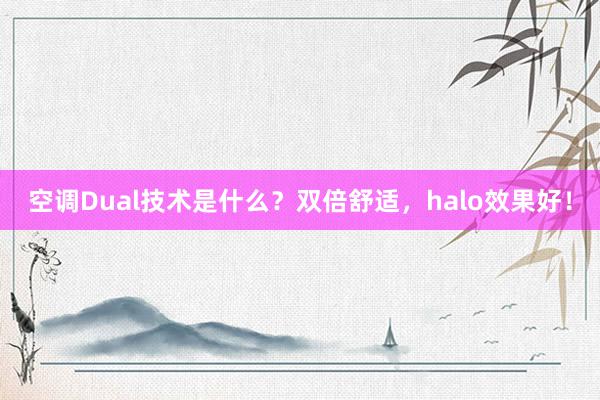 空调Dual技术是什么？双倍舒适，halo效果好！